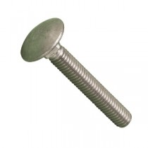 Cup Square Bolts (Carriage Bolts)
