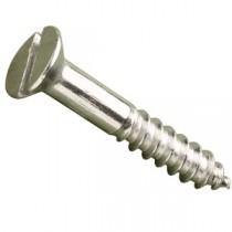 Slotted Countersunk Head
